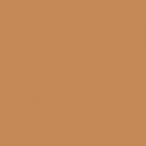 Nasco Country School Heavyweight 50 Count Of 12 X 18 Construction Paper Light Brown